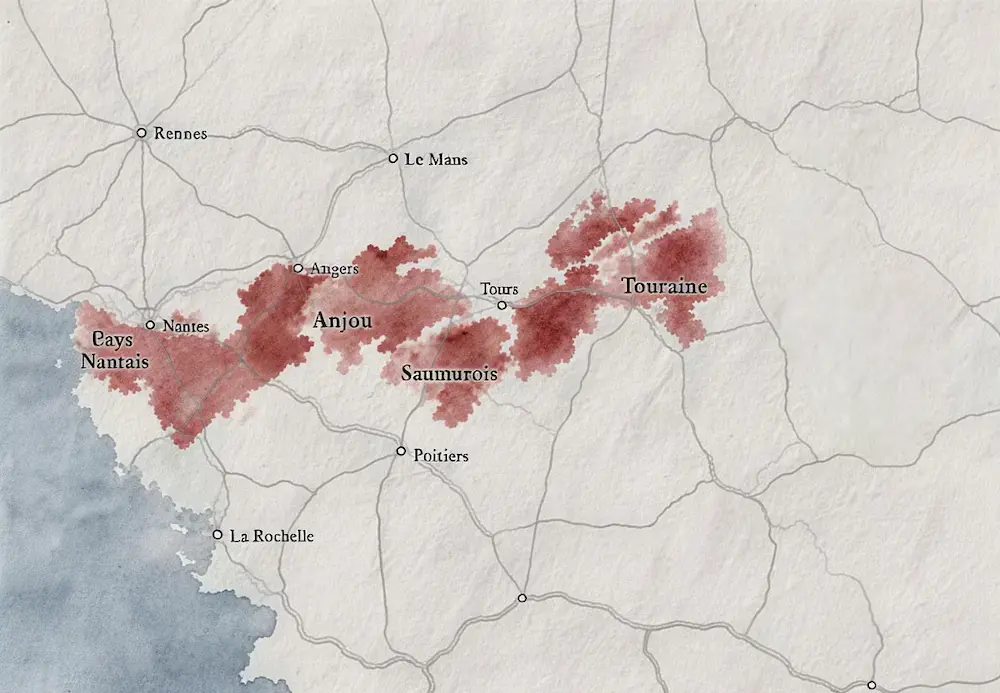 Vins rouges de Loire