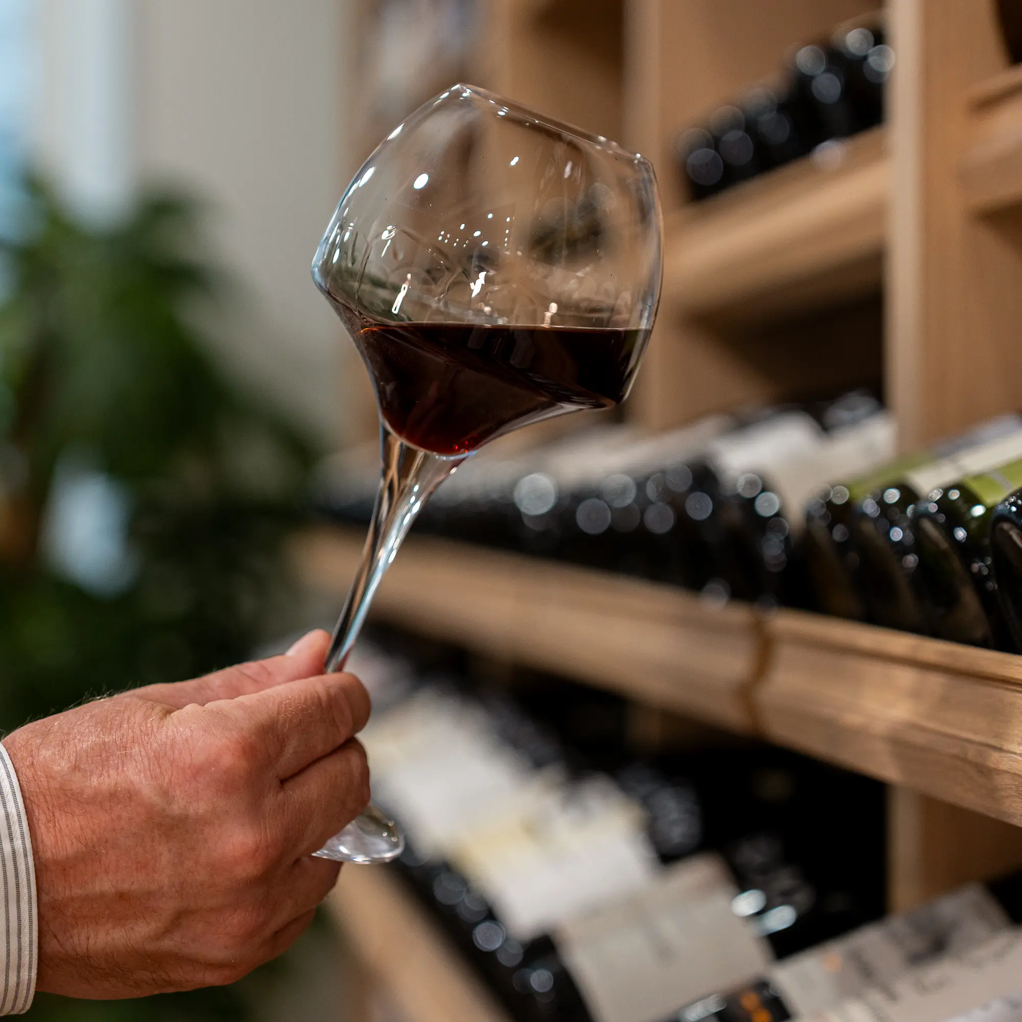 Verre de vin rouge issu de la cave de la Madeleine à Angers